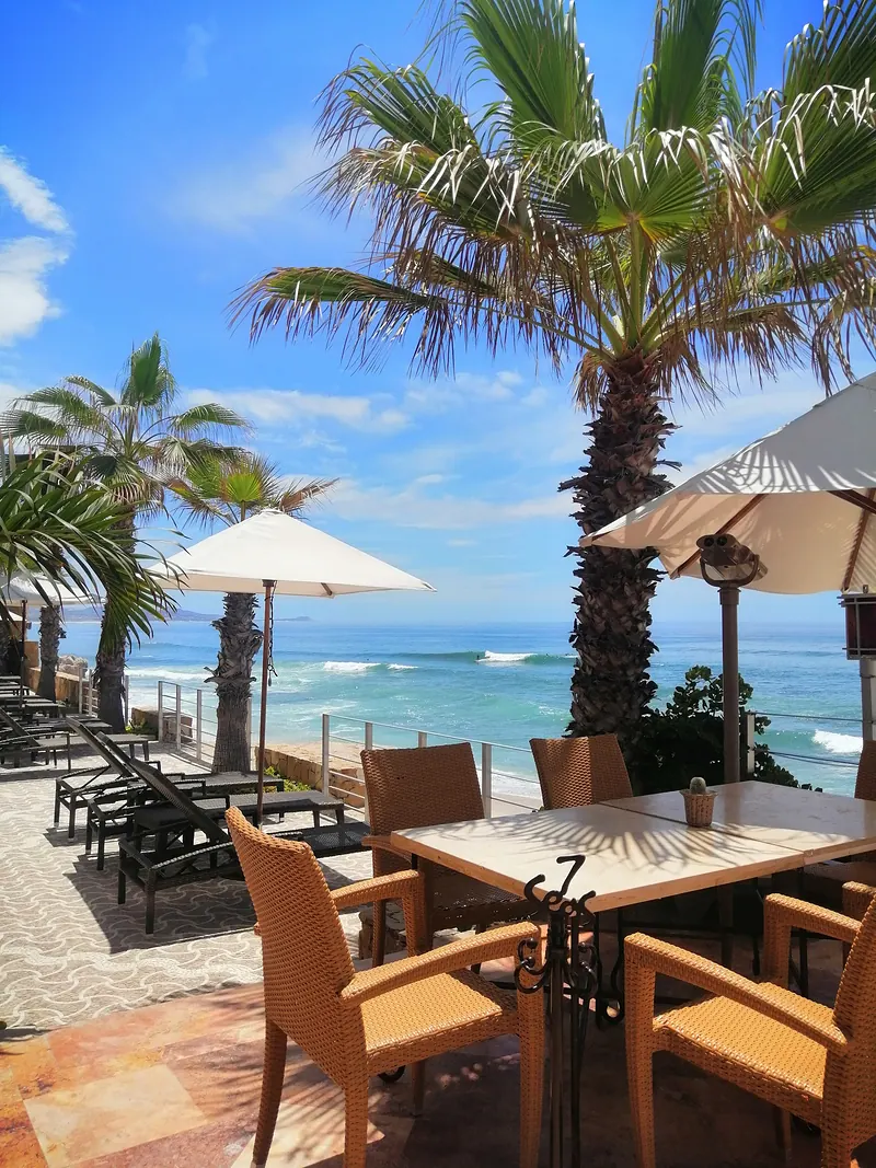 Terrace tables among palm trees beside the ocean